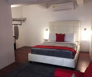 Photo 3 - Gladiolas 2102