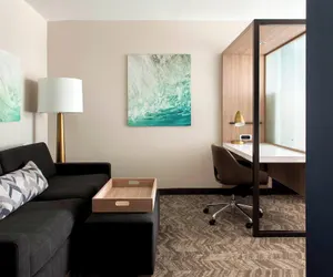 Photo 5 - SpringHill Suites by Marriott Tampa Suncoast Parkway