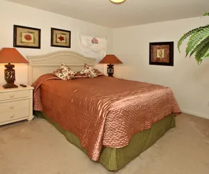 Photo 3 - Kissimmee Vacation Homes