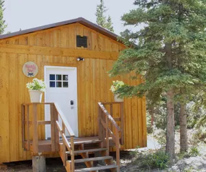 Photo 2 - Arctic Dragonfly Inn