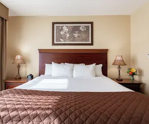 Photo 2 - Jefferson Street Inn