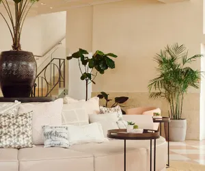 Photo 3 - Hotel Greystone - Adults Only
