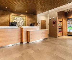 Photo 3 - Fairfield Inn & Suites by Marriott Dallas DFW Airport North/Coppell Grapevine