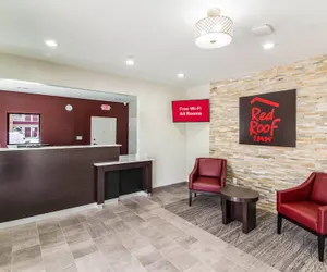 Photo 4 - Red Roof Inn Houston - Willowbrook