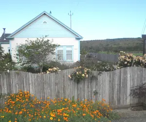 Photo 2 - Pescadero Creek Inn