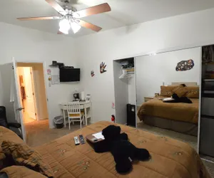 Photo 3 - The Bear's Den B&B