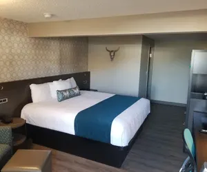 Photo 4 - The Hotel Y