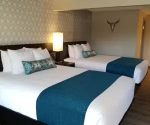 Photo 3 - The Hotel Y