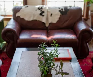 Photo 4 - The Rugosa Guest House