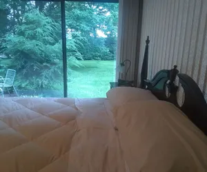 Photo 3 - Tanglewood Suites