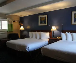 Photo 5 - Claremont Motor Lodge