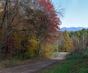 Photo 3 - Sweet Creek Retreat- Ocoee River Area
