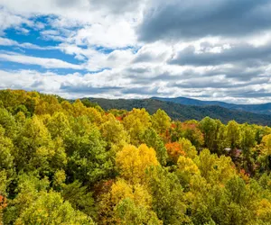 Photo 3 - New Listing! The Laurel Mountain Chalet