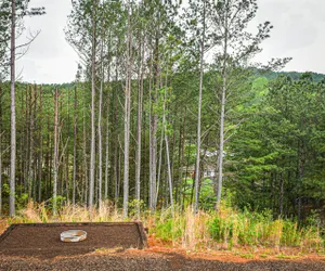 Photo 4 - Sunset Cottage - Ocoee River Area