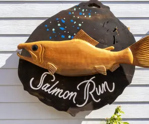 Photo 2 - H - Salmon Run