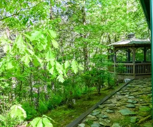 Photo 5 - Hawk Haven- Blue Ridge