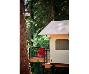 Photo 5 - Glamping | Accessible King