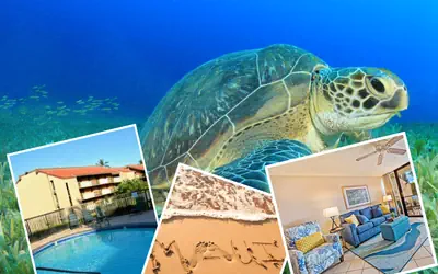 Paradise Found: Unwind & Explore Maui's Beauty