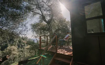 The Ridge-Top Tiny Home: Off-Grid Escape with Pacific Views