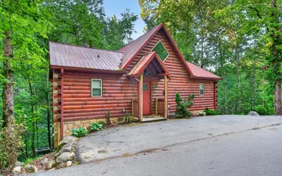 Cubs in the Treetops Log Cabin