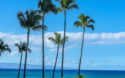 Royal Kahana 217