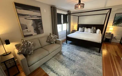 Contemporary 1 Bed/ 1 Bath on Historic Pelham St