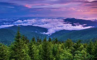 View Prime Location Min to PKWY, DOLLYWOOD, more