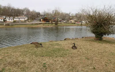 Idlewild at Duck Harbor Resort