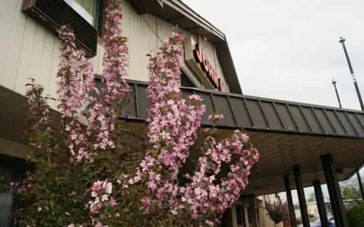 Rodeway Inn Syracuse Carrier Circle