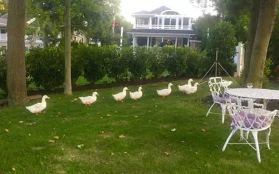 Walden on the Pond Hotel