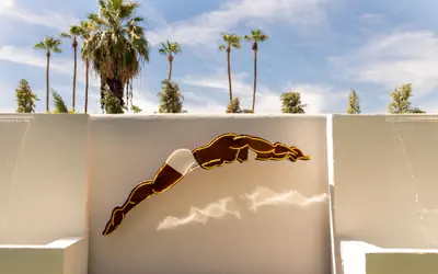 Dive Palm Springs Hotel - 21 & Over
