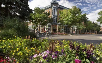 Elegant Old Town Charm – Walk to Csu and Downtown