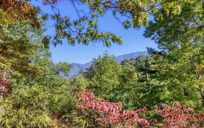 Gatlinburg Views A Unique Cabin Mountain Views Expansive Decks Adjacent To Gatlinburg & Ski Lodge 1 Bedroom Cabin by RedAwning