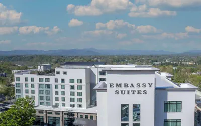 Embassy Suites By Hilton Asheville Downtown