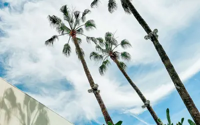 The Beverly Hilton
