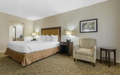 Best Western Plus Big America