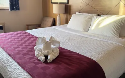 Americas Best Value Inn Lynnwood Seattle