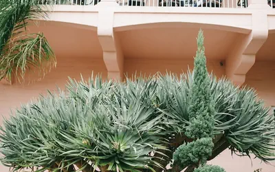 La Valencia Hotel