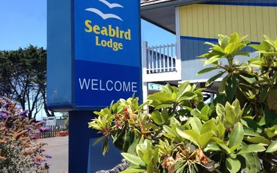 Seabird Lodge