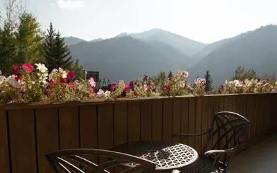 Knob Hill Inn
