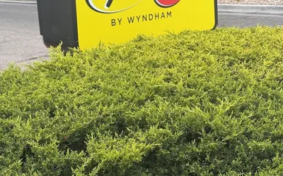 Super 8 by Wyndham Windsor