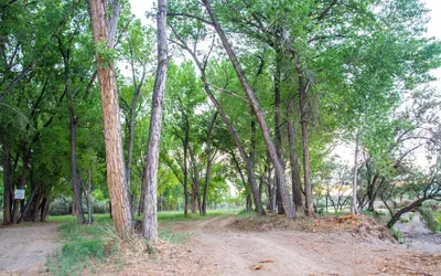 Riverwood Resort by Agora Adventure