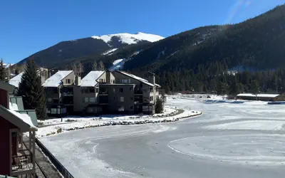 Beautiful Renovated 1br Lakeside Condo 1 Bedroom Condo