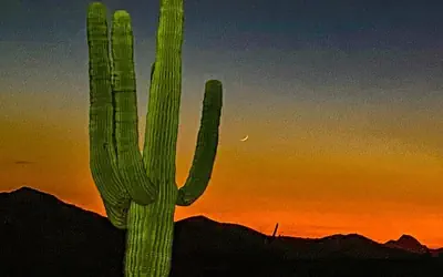 Kings Way #201 Fountain Hills