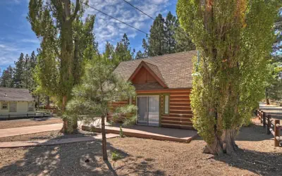 Brother Bear Cabin