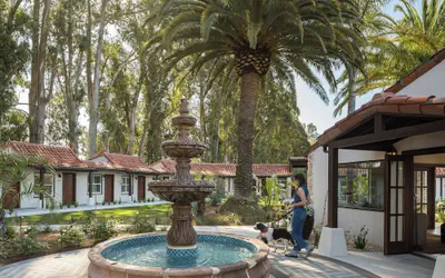 Casia Inn