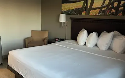 Park Inn