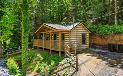 Pet-friendly Cabin 1 Gburg Fire Pit Games