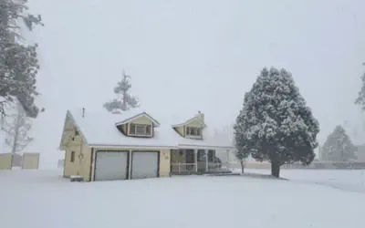 Bunny's Ranch