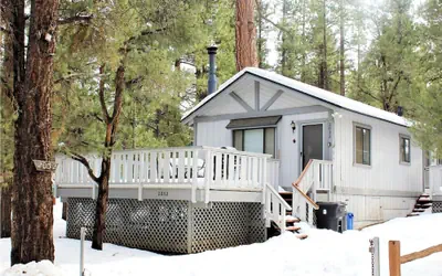 Cedar Pines